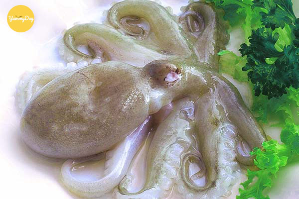 Sơ chế bạch tuộc