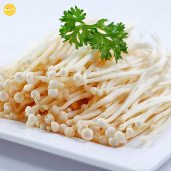 Chọn nấm kim châm tươi ngon