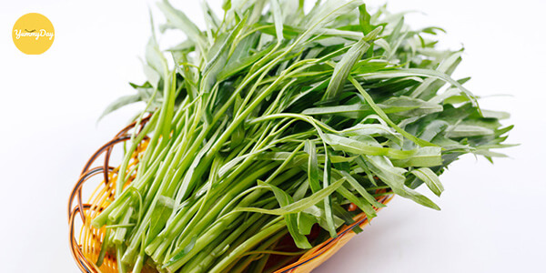 Cần chọn những bó rau muống còn tươi xanh