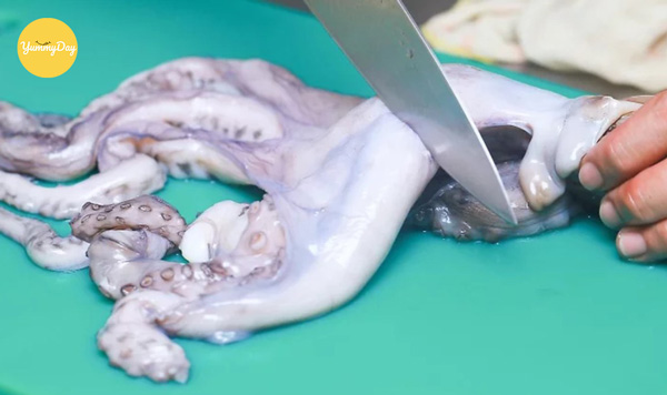 Cắt rời phần thân và phần xúc tu