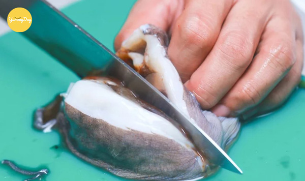 Cắt đôi phần đầu bạch tuộc