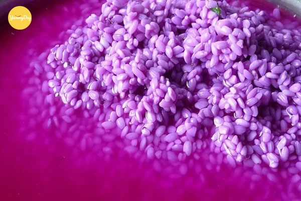 Đổ nước lá cẩm vào nếp ngỗng