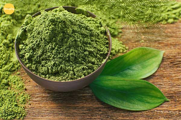 Bạn chuẩn bị bột matcha để tạo màu cho bánh đẹp mắt