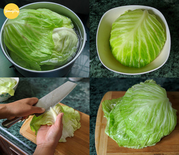 Bắp cải to và tươi ngon
