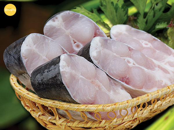 Phân biệt cá basa với các loại cá khác