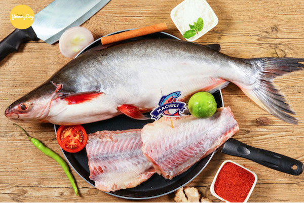 Cách phân biệt cá basa và cá hú