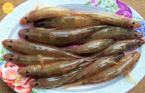 Vẫn là lựa chọn những con cá bống tươi ngon
