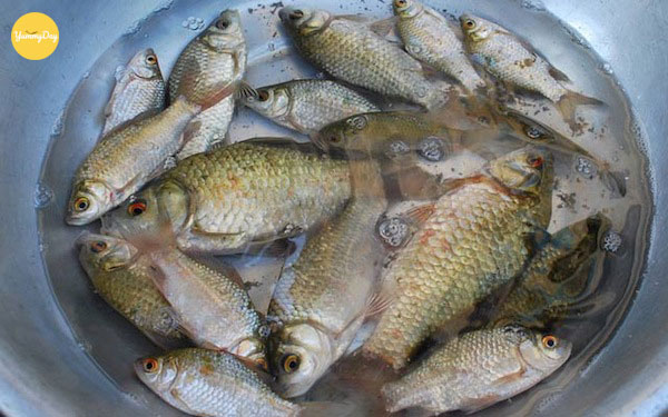 Lựa cá diếc tươi ngon