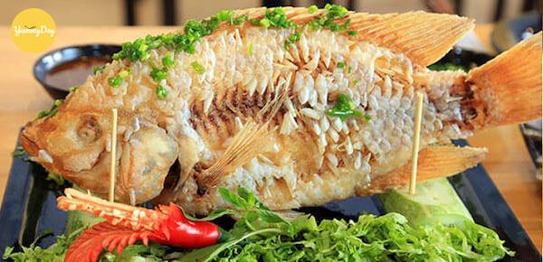 Cá diêu hồng chiên xù thơm ngon hấp dẫn