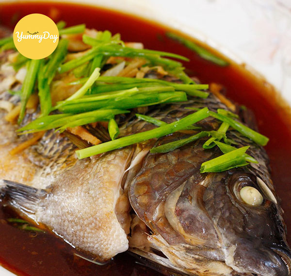 Chế biến cá điêu hồng hấp xì dầu thơm ngon