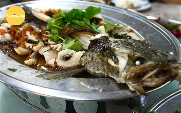 Bắt tay vào làm món cá hấp bia thôi nào