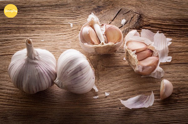 Tỏi còn tươi mới, không nảy mầm