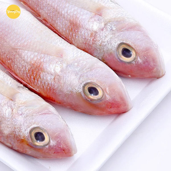 Nguyên liệu cá hường dùng cho món cá hường chiên sả ớt