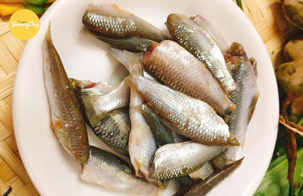 Sơ chế cá linh