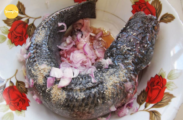 Sơ chế và ướp cá lóc