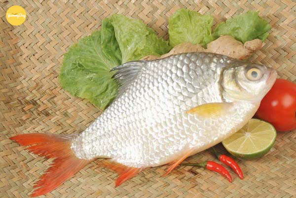 Cá mè tươi ngon