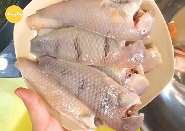 Có thể khứa hoặc không tuỳ sở thích