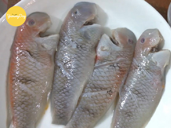 Khứa thịt cá ở mỗi 2 mặt