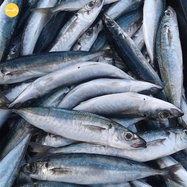 Lựa chọn những con cá nục tươi ngon