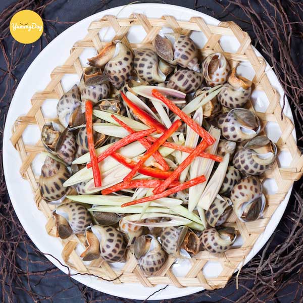 Trang trí món ốc hương hấp sả bắt mắt