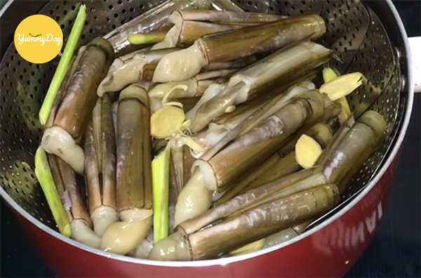 Chần sơ ốc móng tây
