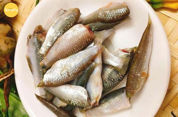 Cá linh làm sạch