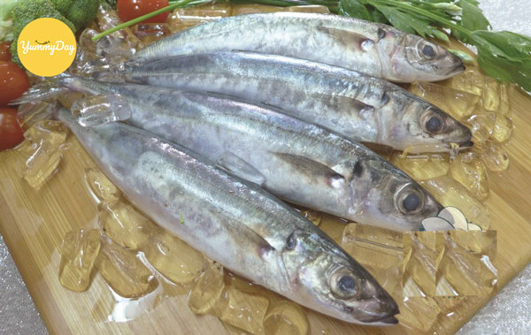 Sơ chế cá nục