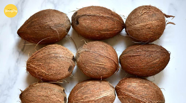 Nước cốt dừa nguyên chất được làm từ những trái dừa tuyển chọn