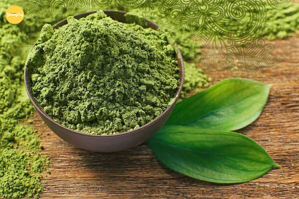 Công dụng của trà xanh mà bạn nên biết