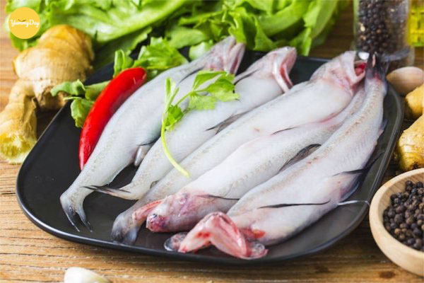 Cá khoai tươi ngon