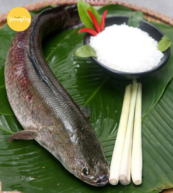 Dinh dưỡng có từ cá lóc