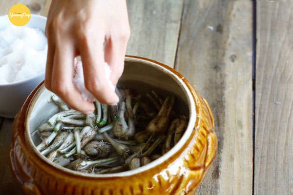 Ngâm củ kiệu cùng nước muối