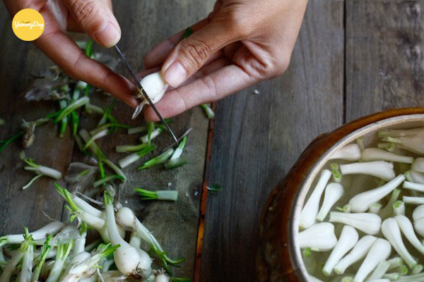 Củ kiệu cắt bỏ rễ và ngâm muối