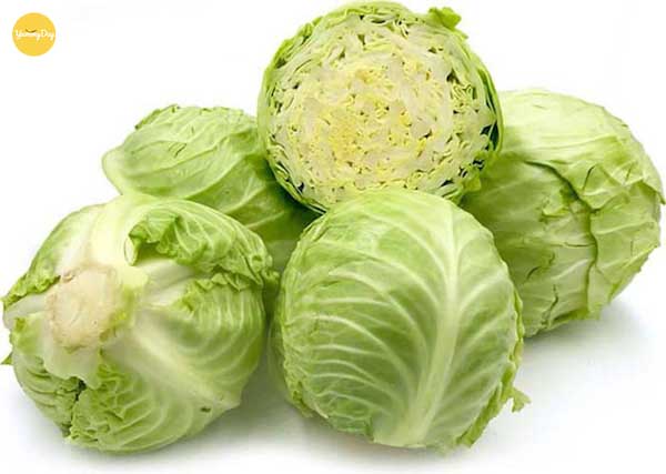 Bạn chọn bắp cải tươi ngon để làm món gỏi nhé!