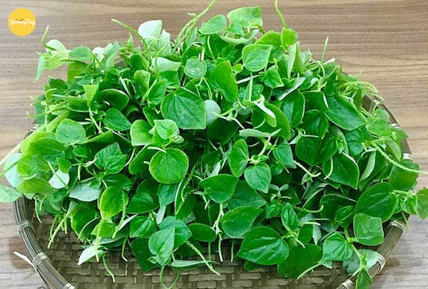 Bạn có thể sử dụng rau càng cua để làm gỏi vịt