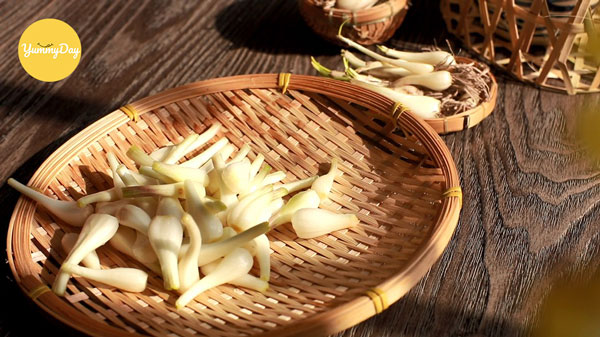 Phơi khô củ kiệu dưới ánh nắng