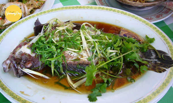 Cá song hấp xì dầu ăn khi còn nóng