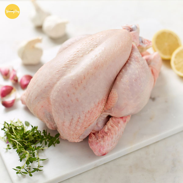Mẹo lựa thịt gà thật tươi ngon
