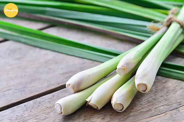 Cắt ngắn sả rồi đập dập