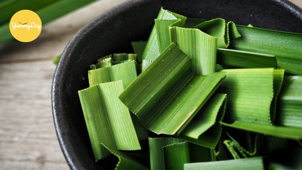 Sơ chế lá dứa