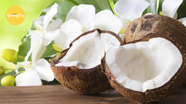 Lựa chọn cùi dừa non chất lượng
