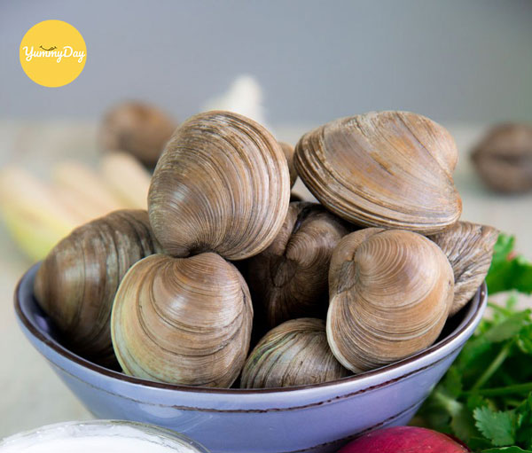 Quan sát vỏ ngoài và chạm vào miệng nghêu để biết độ tươi ngon