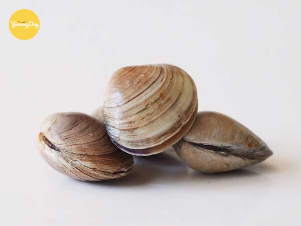Các món ngon được chế biến từ nghêu