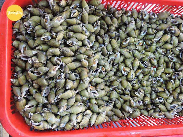 Giá trị dinh dưỡng của ốc cà na