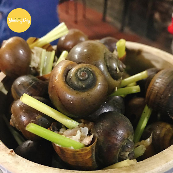 Ốc hấp lá gừng hấp dẫn