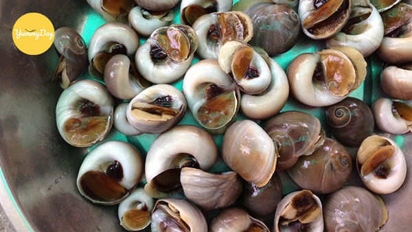 Mẹo chọn ốc mỡ ngon
