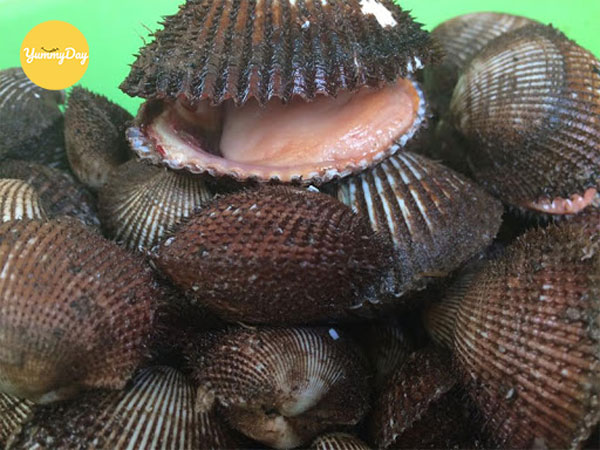 Không thể thiếu sò lông tươi sống
