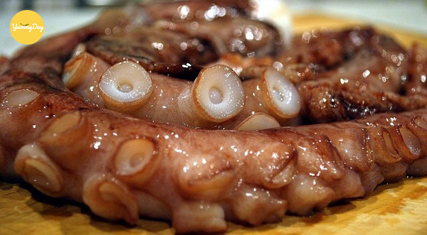 Mẹo chọn bạch tuộc chất lượng