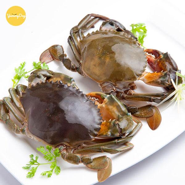 Những con cua tươi ngon