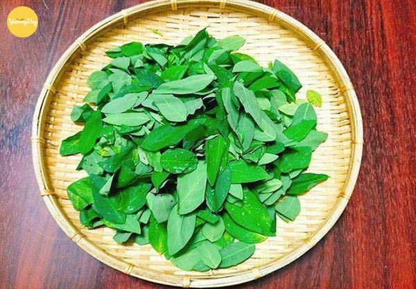 Rửa sạch rau ngót